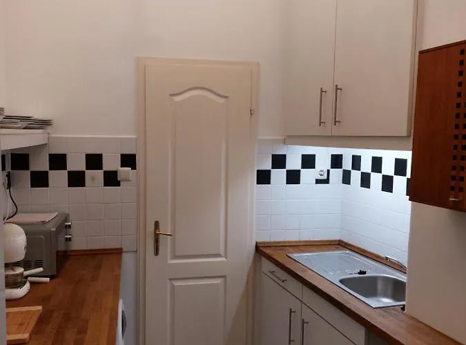 公寓 Schieszl 2 布达佩斯